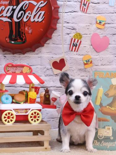 20230916チャミちゃん